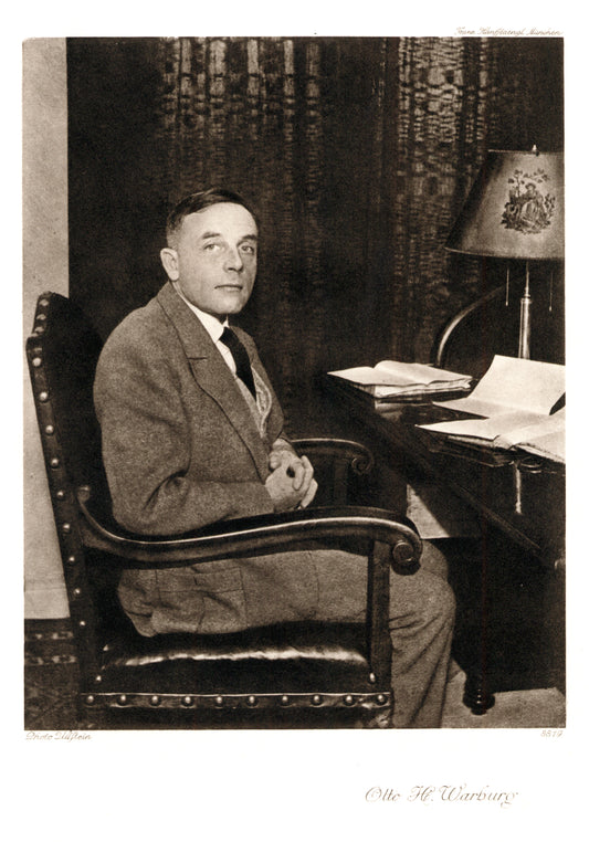 Otto H. Warburg